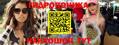 стафф Партизанск