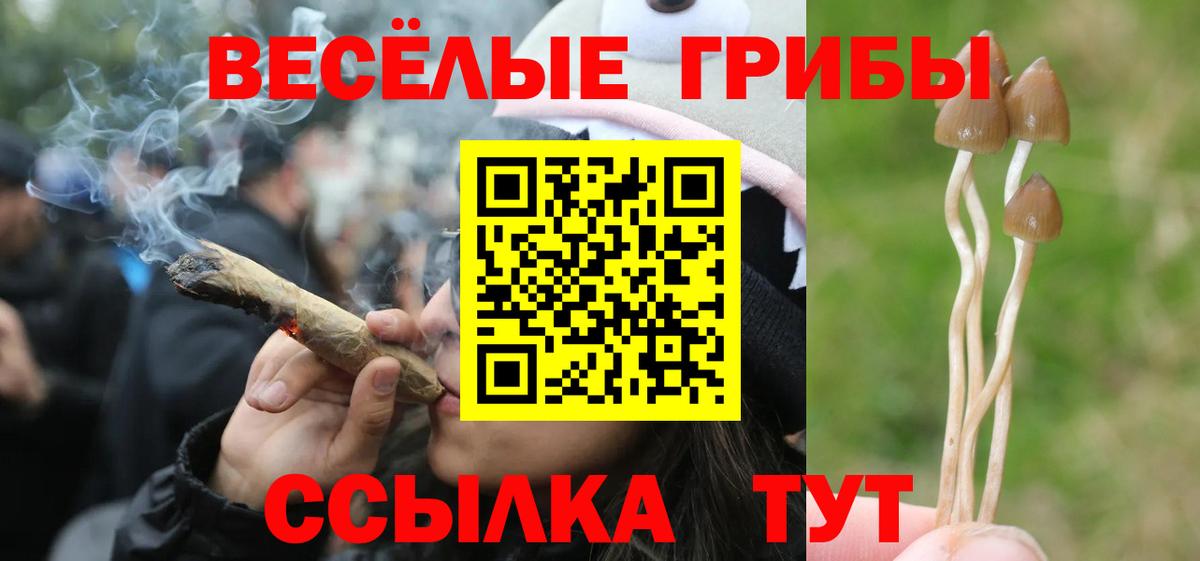 Псилоцибиновые грибы MAGIC MUSHROOMS  продажа наркотиков  Павлово  Вход с VPN 